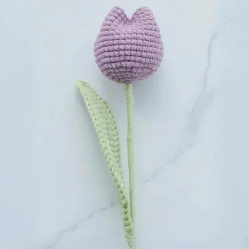 Tulip Crochet Pattern Easy